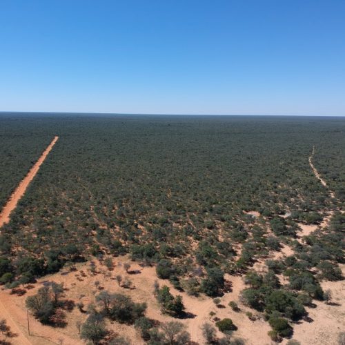 DCIM/103MEDIA/DJI_0576.JPG