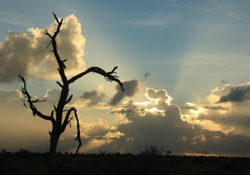 african-sunset-2640797_640