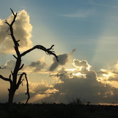 african-sunset-2640797_640
